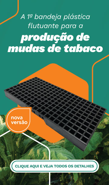 Bandeja 22/14 Flutuante para cultivo de tabaco