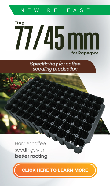 RIGID PLASTIC TRAY 77 FOR PAPERPOT 45MM