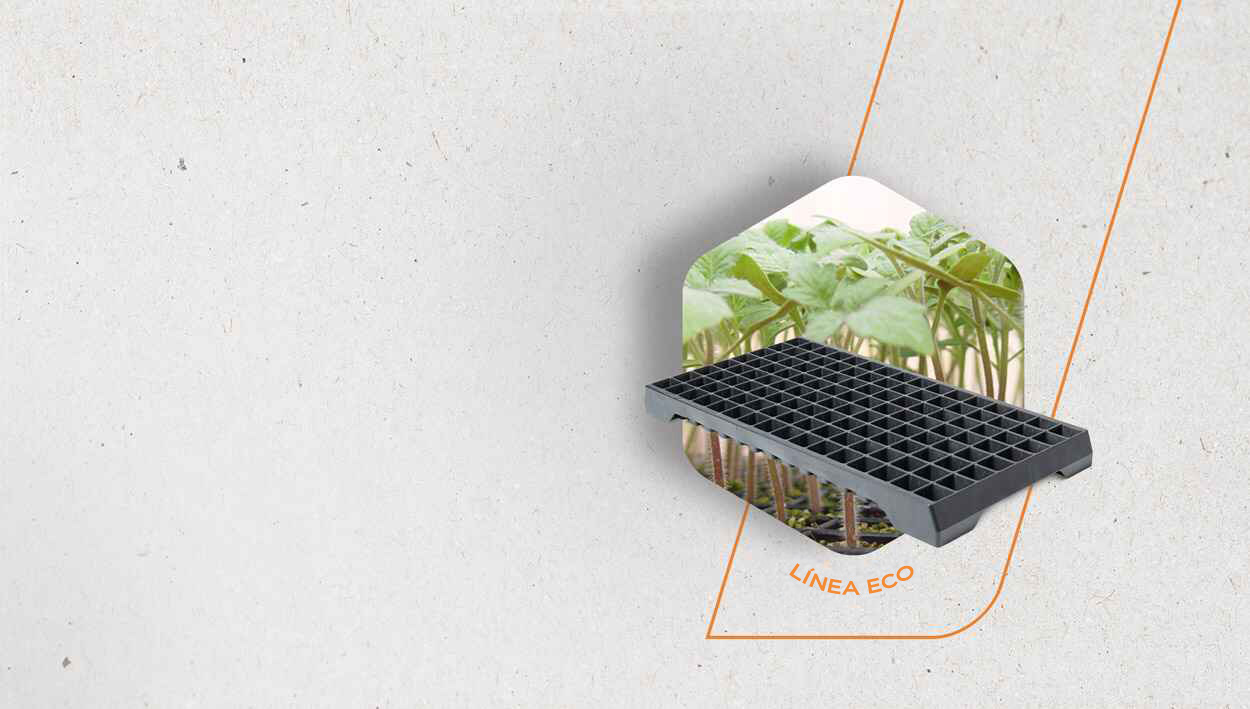 <strong>LINEA ECO:</strong><br />LA BANDEJA ADAPTADA<br />A TU VIVERO
