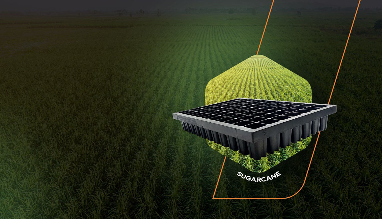 WE BROUGHT<br />INNOVATION FOR A<br /><span>TRADITIONAL CULTIVATION</span>