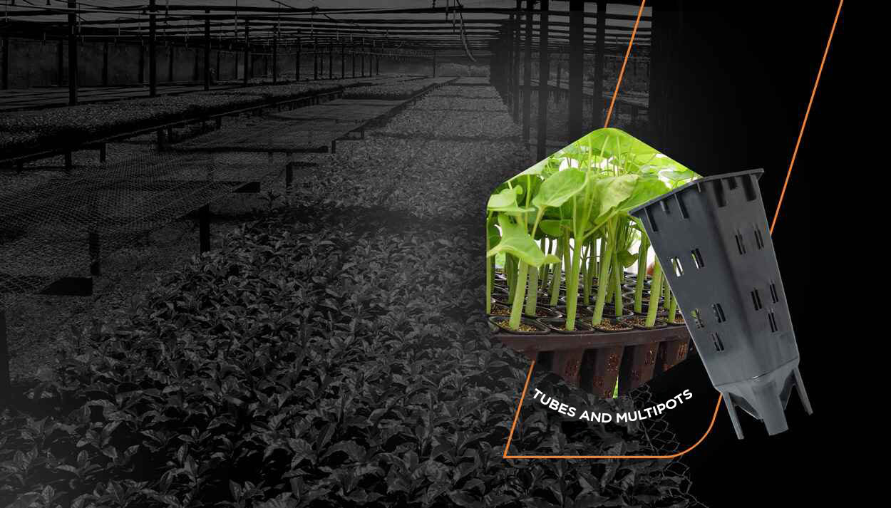UNIFORMITY,<br>STANDARDIZATION<br>AND SUSTAINABILITY
