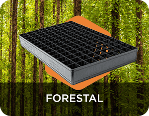 Forestal
