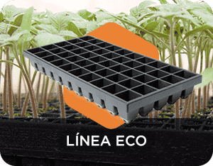 Linea ECO