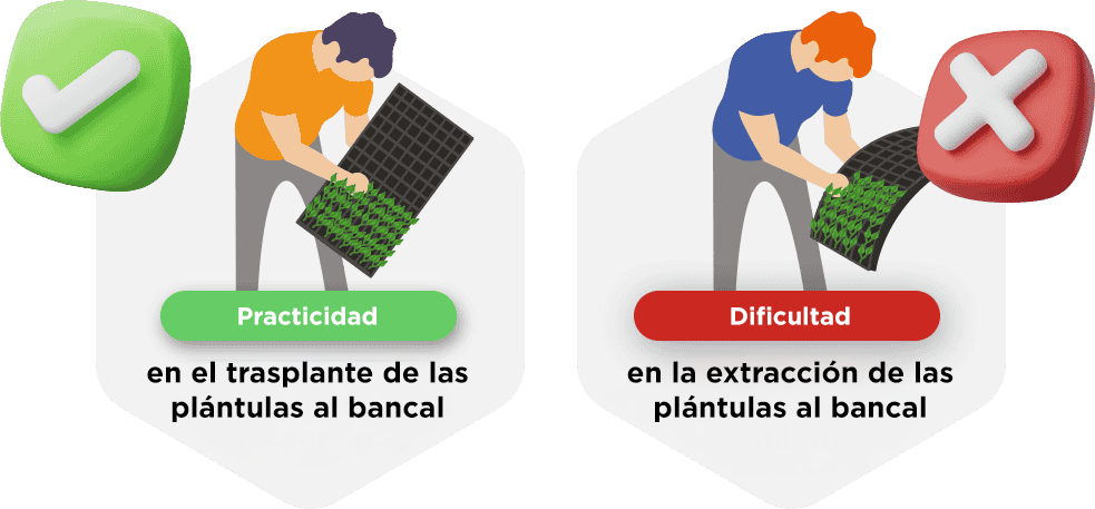 linha-eco-05.png