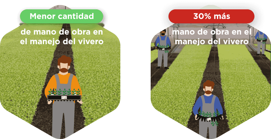 linha-eco-09.png