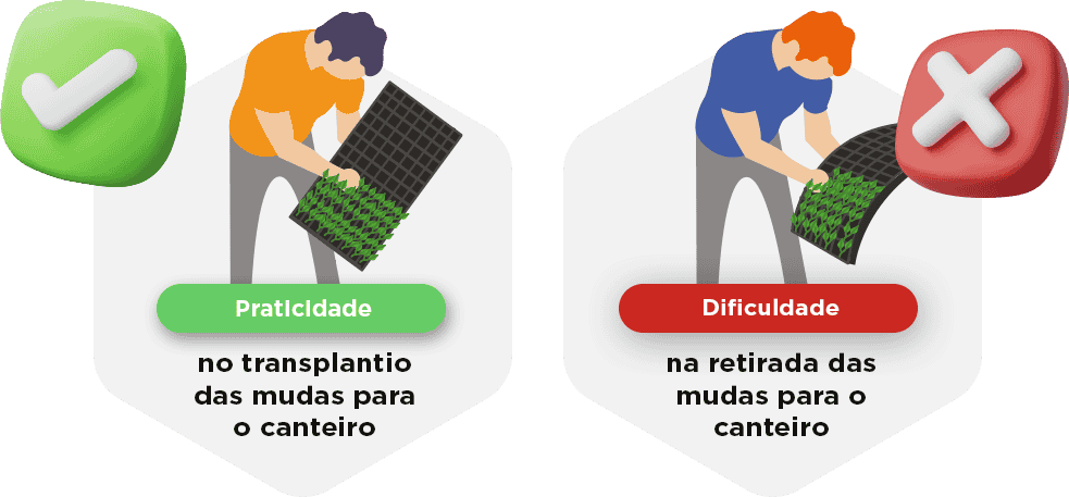 linha-eco-05.png