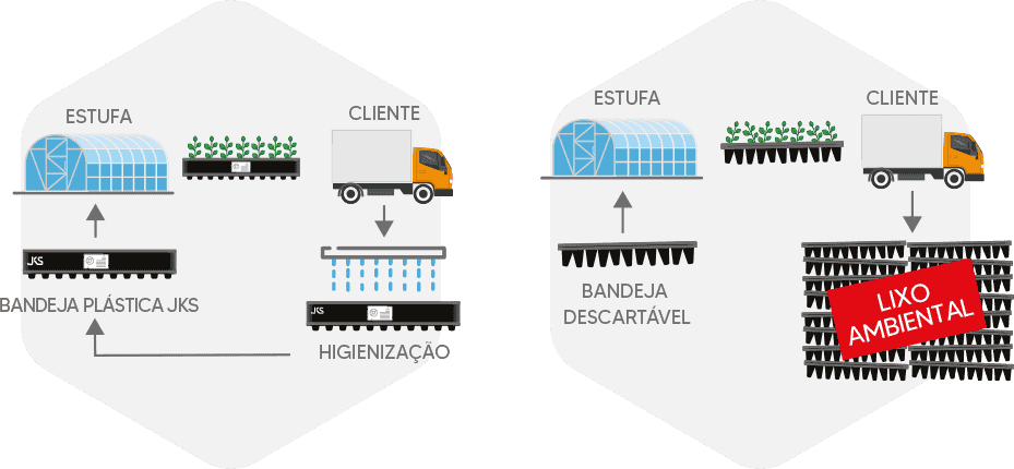 linha-eco-06.png