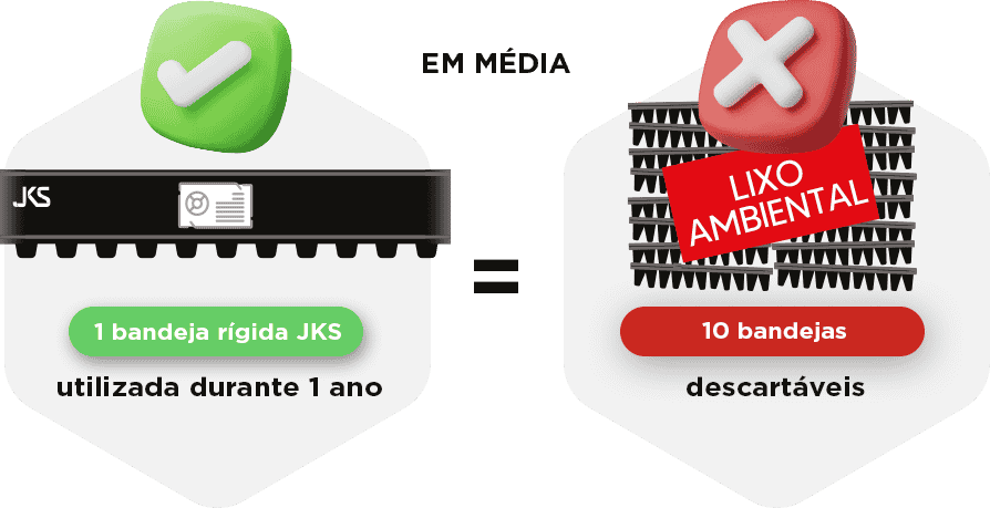 linha-eco-07.png