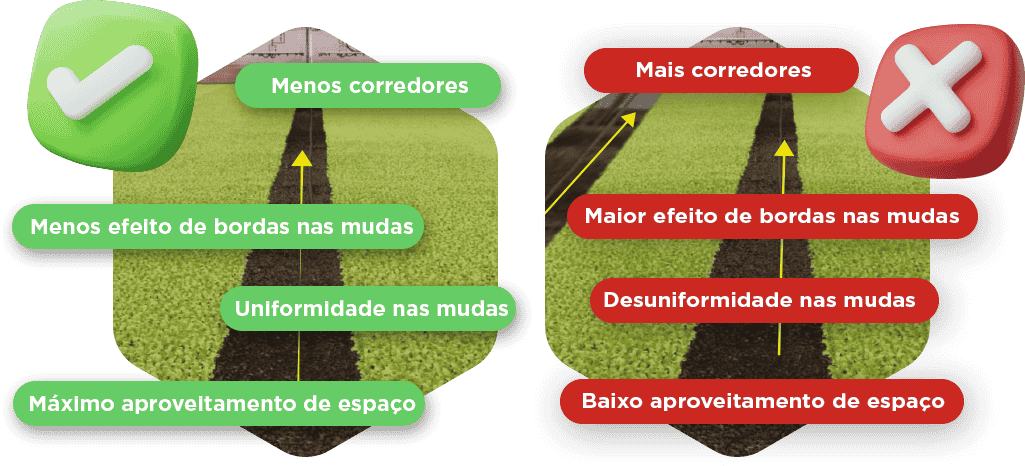linha-eco-08.png