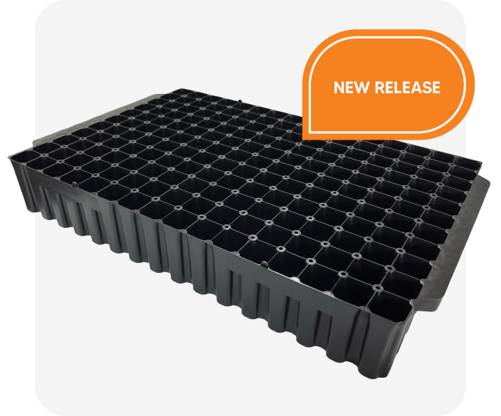 RIGID PLASTIC TRAY 176 FOR 30MM PAPER POT
